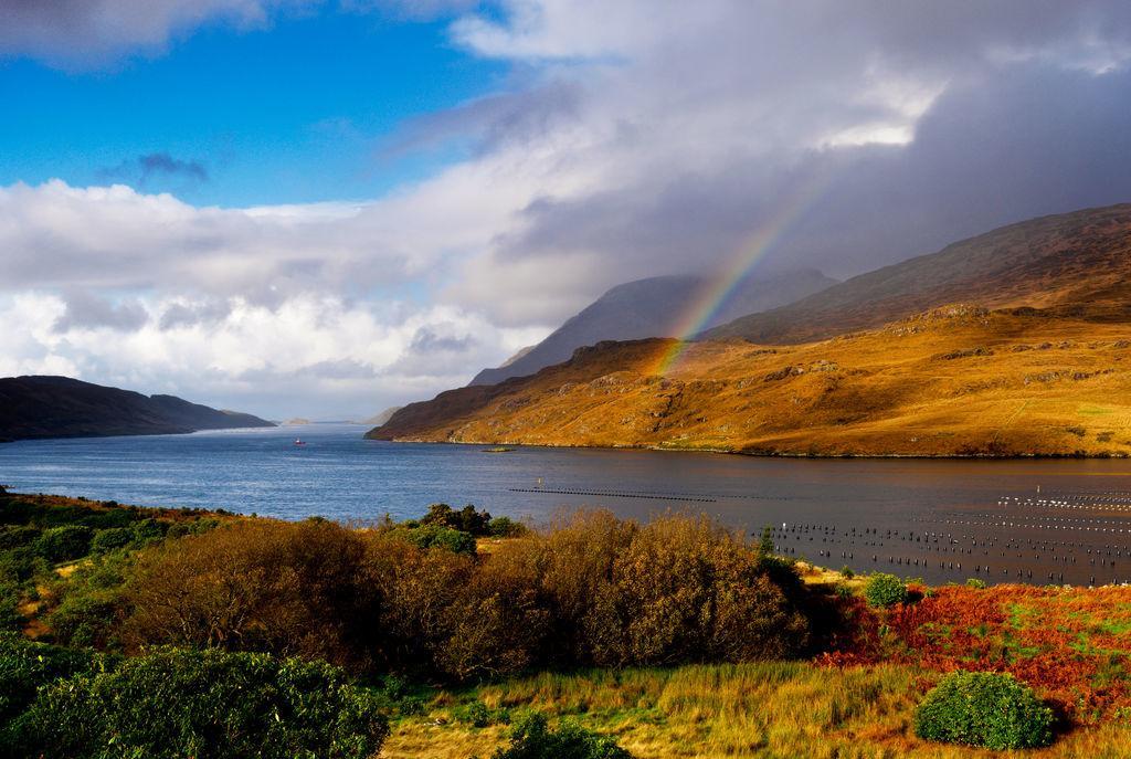 Wild Atlantic Hostel لينوان المظهر الخارجي الصورة